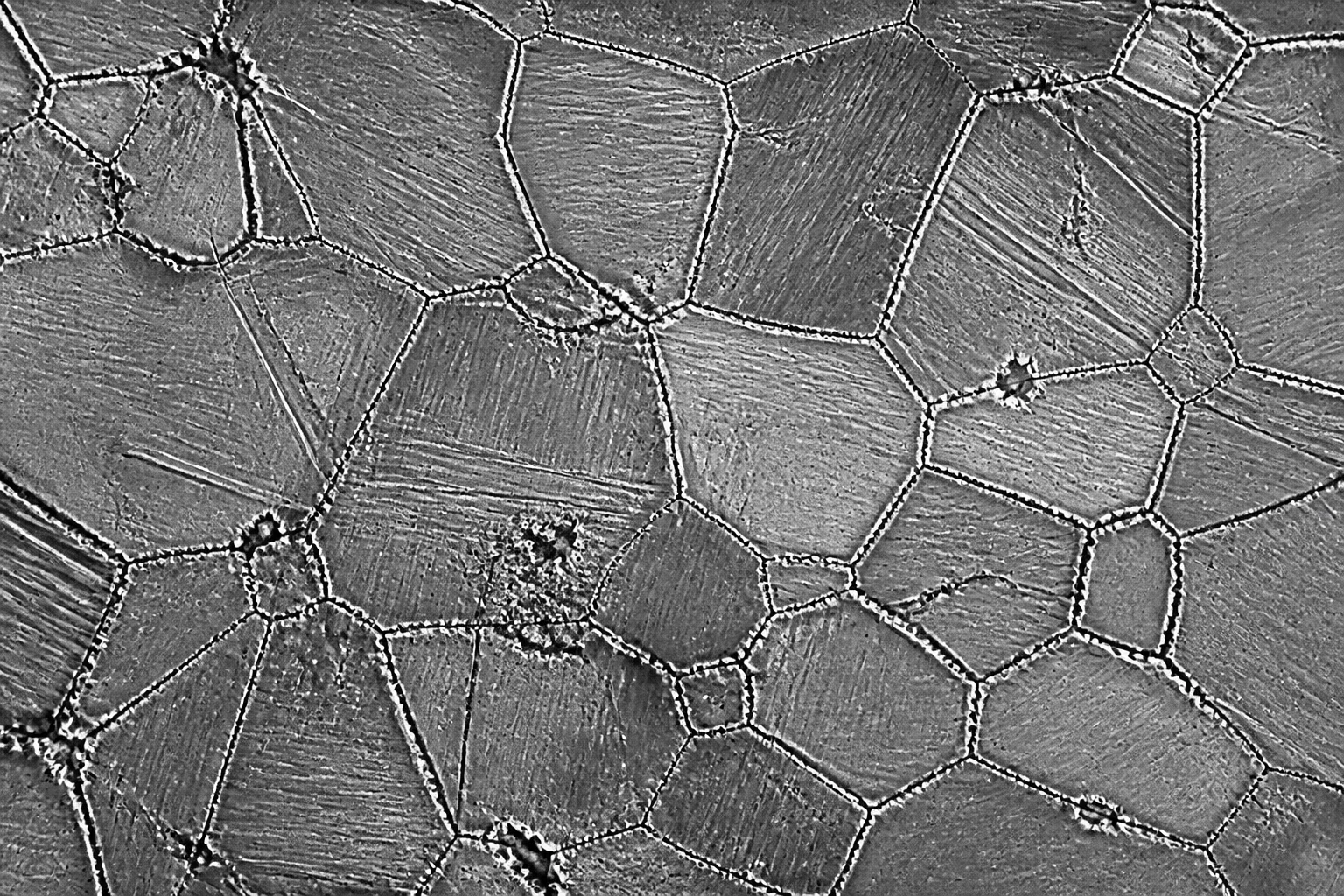 Fatigue Life Predictability in Metal AM